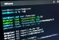Guida Comandi Linux: i 18 codici fondamentali per gestire file, reti e server 